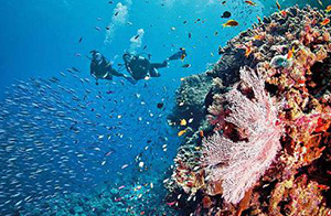 Diving
