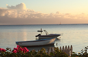 Island tours