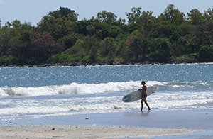 Surfing
