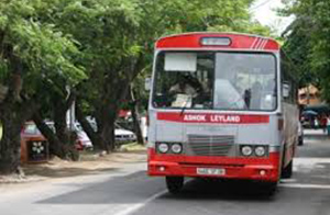 Bus